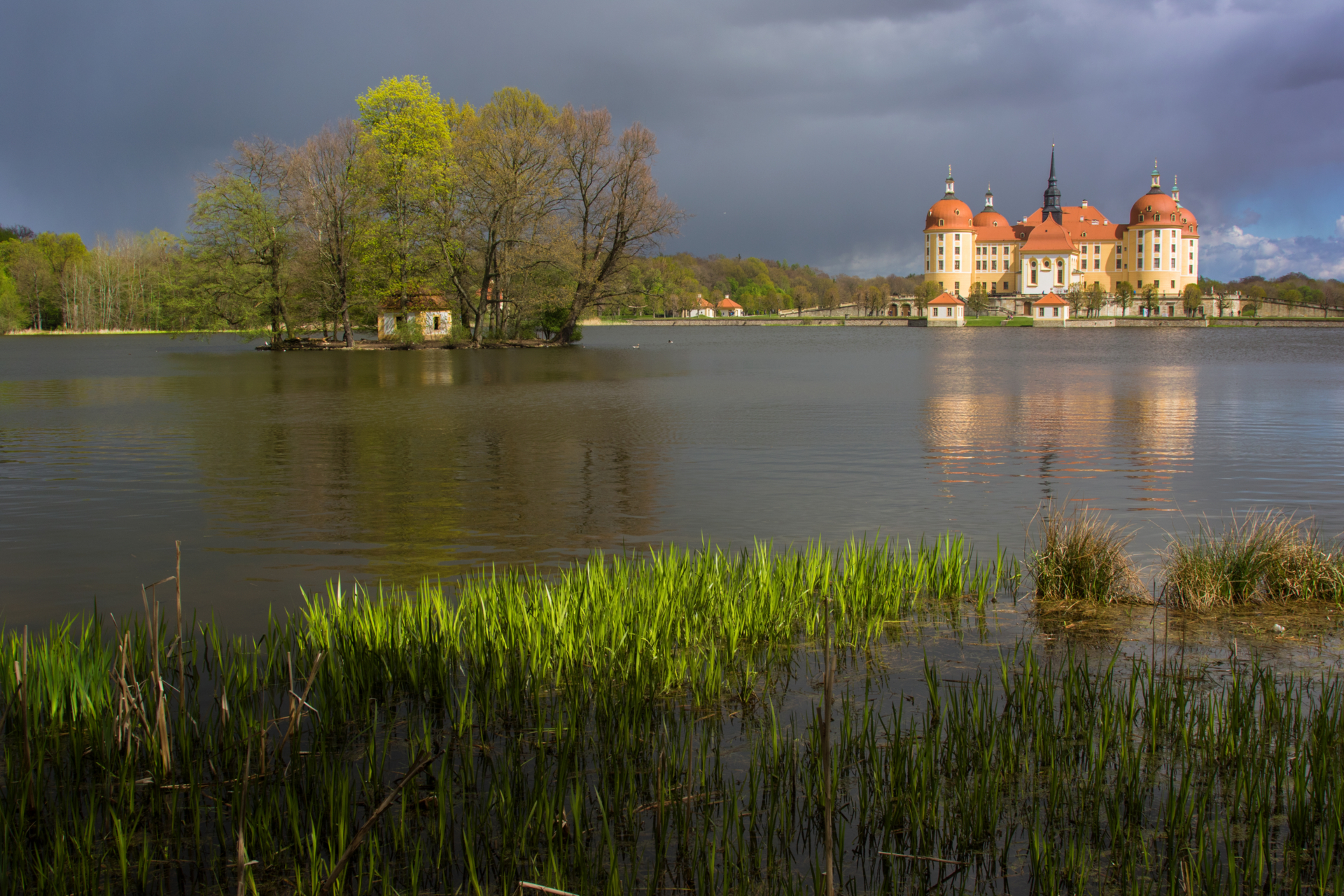 Fr&uuml;hling in Moritzburg  (Bild vergr&ouml;&szlig;ern)