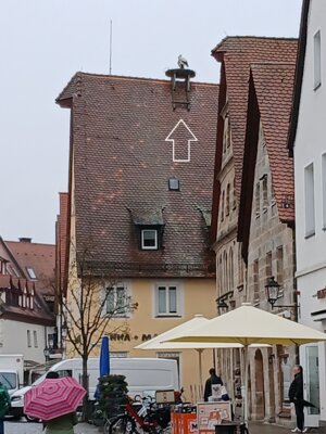 Vorschaubild: Auch die Störche, unsere treuesten Zuhörer, waren bereit!