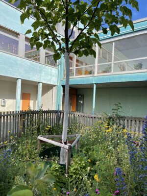 Vorschaubild der Galerie