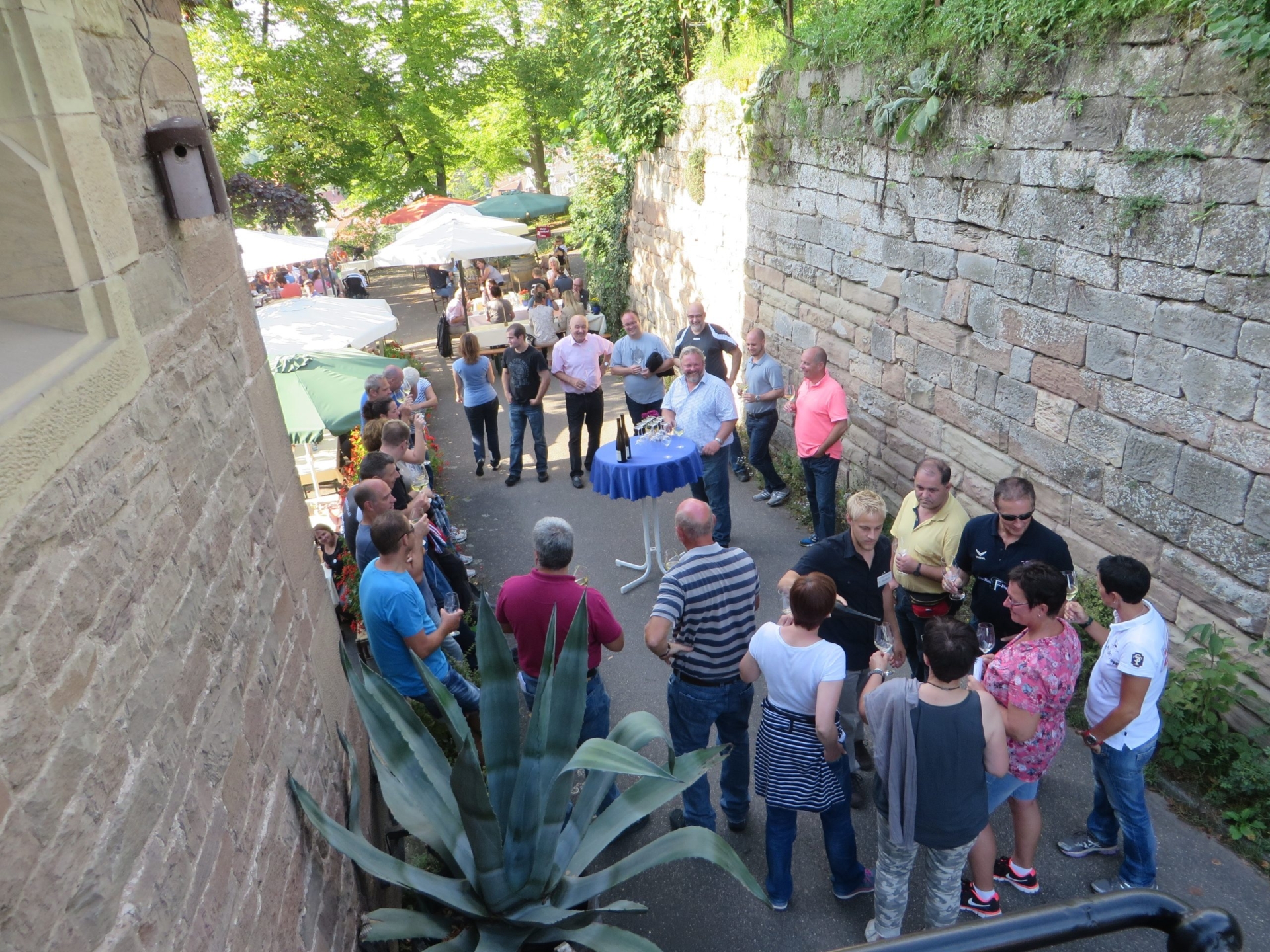 Bild der Galerie