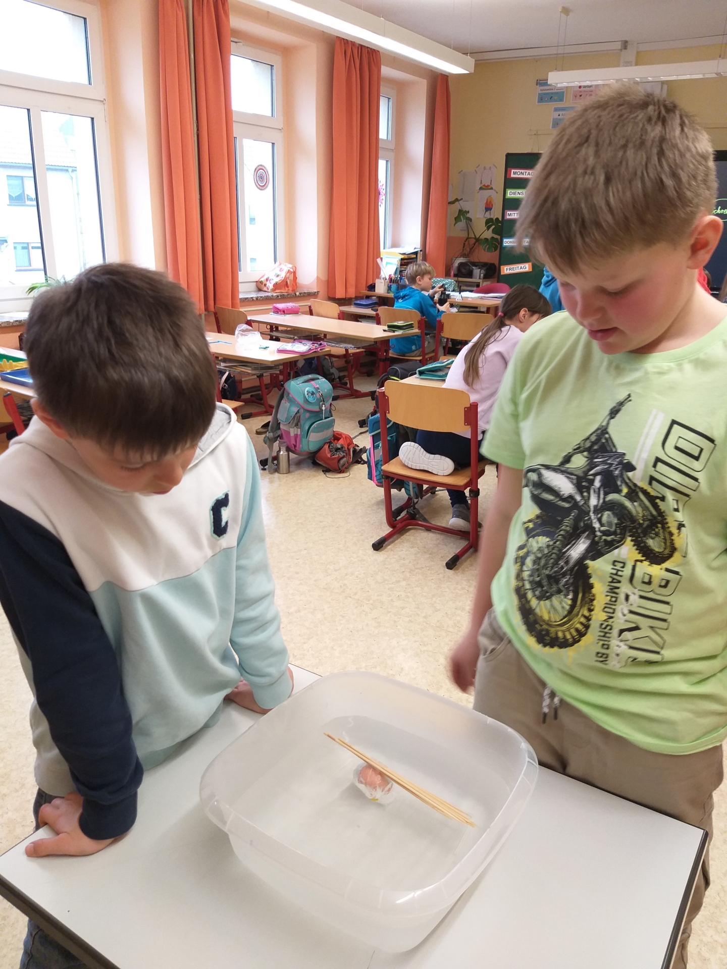 Foto der Galerie: Bau eines Eierboots - Sachunterricht Klasse 3b