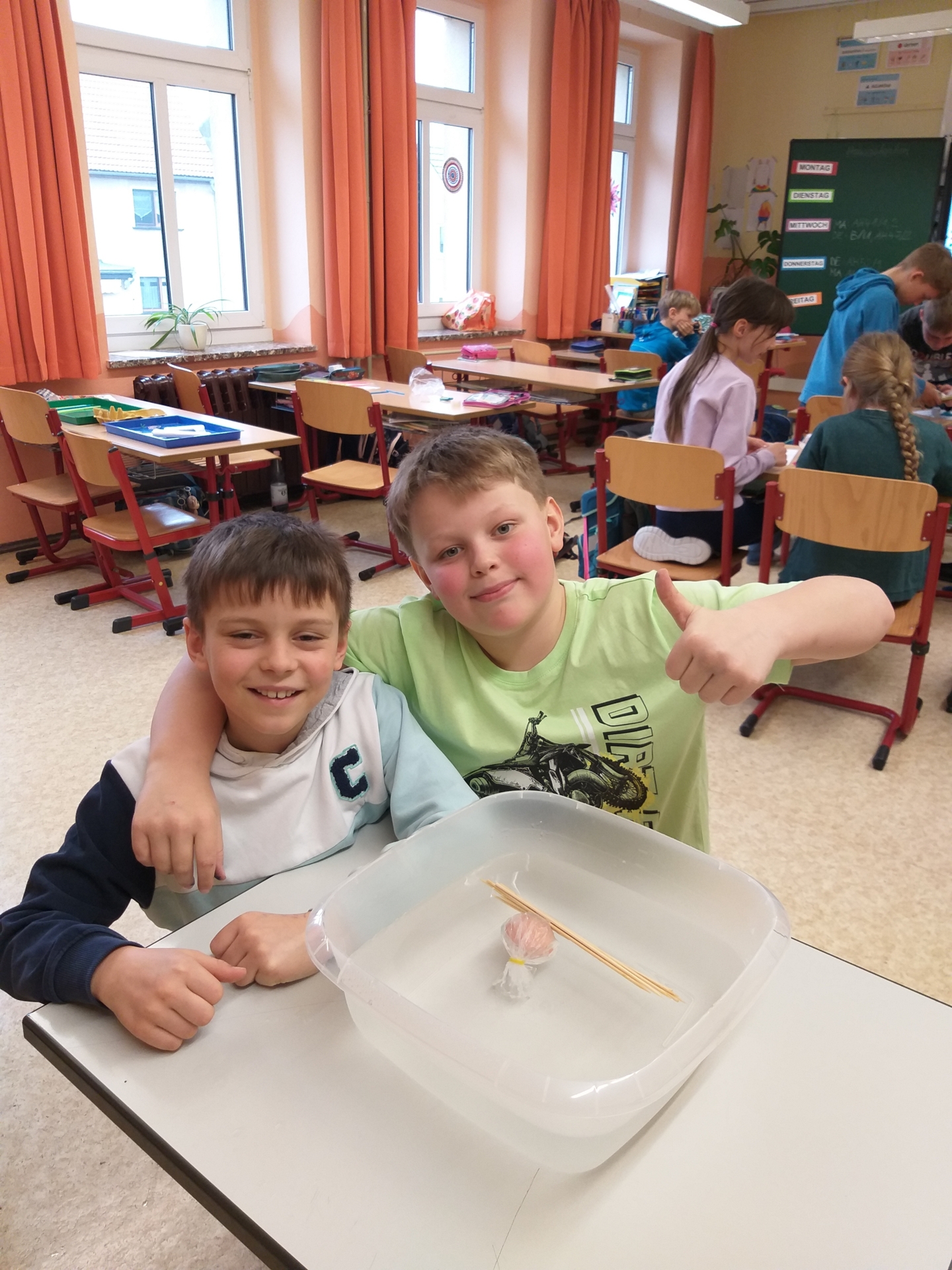 Foto der Galerie: Bau eines Eierboots - Sachunterricht Klasse 3b