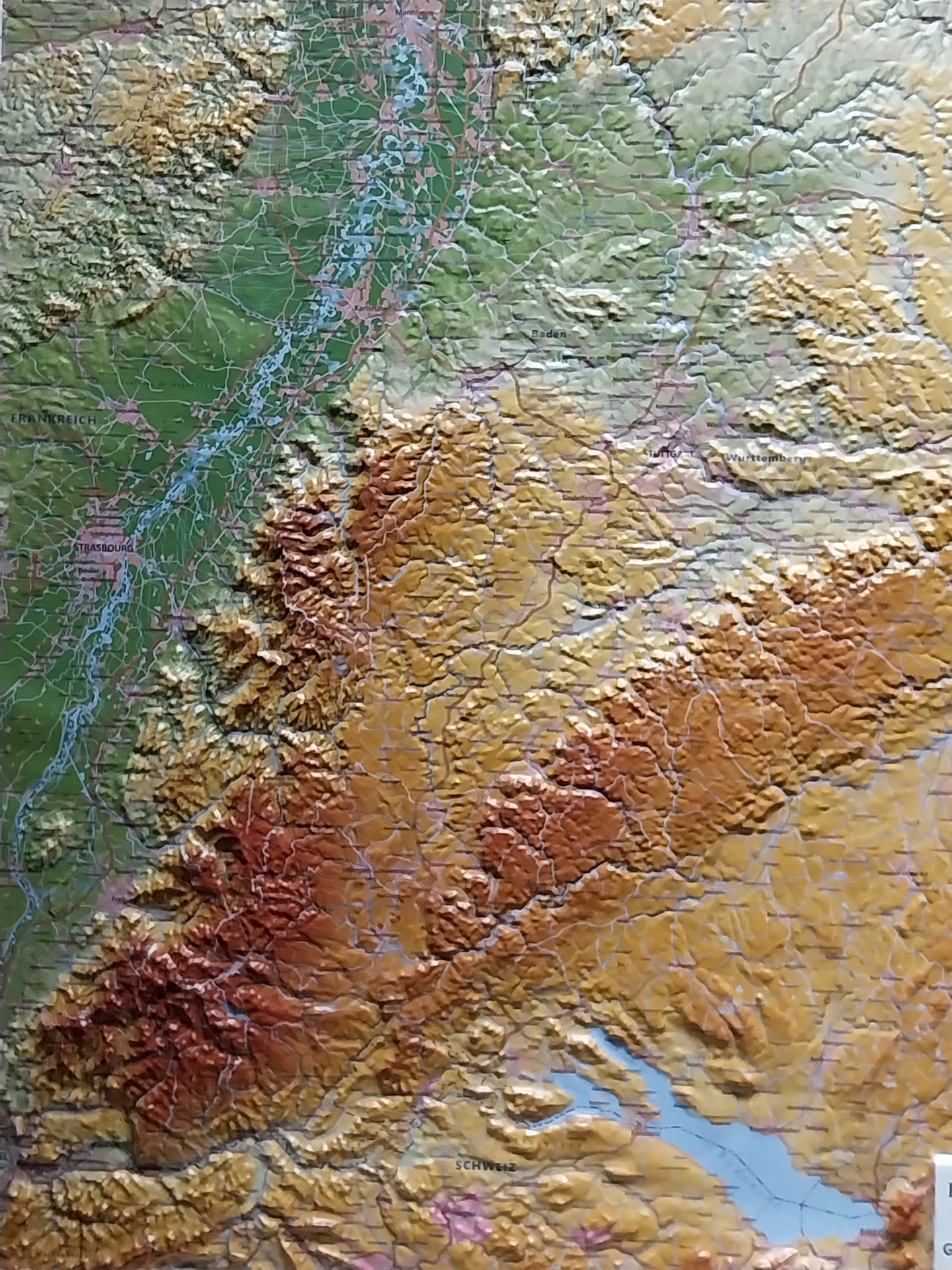 Bild der Galerie