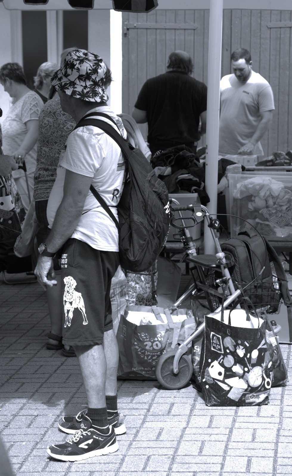 Bild der Galerie