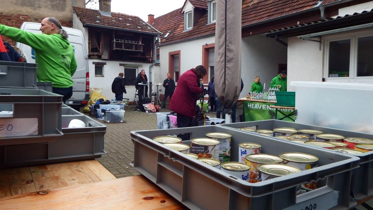 Bild der Galerie