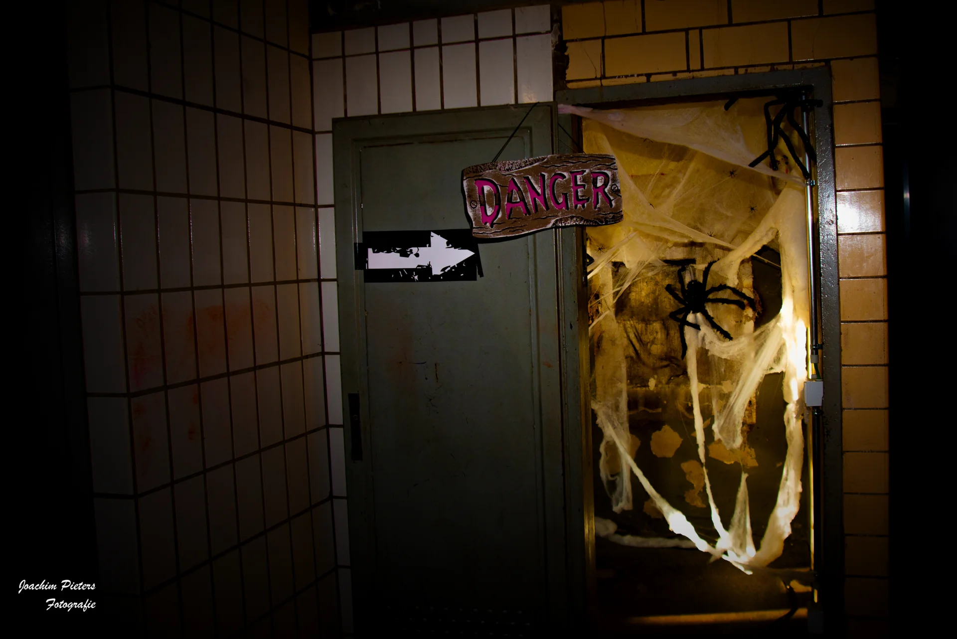 Bild  der Galerie