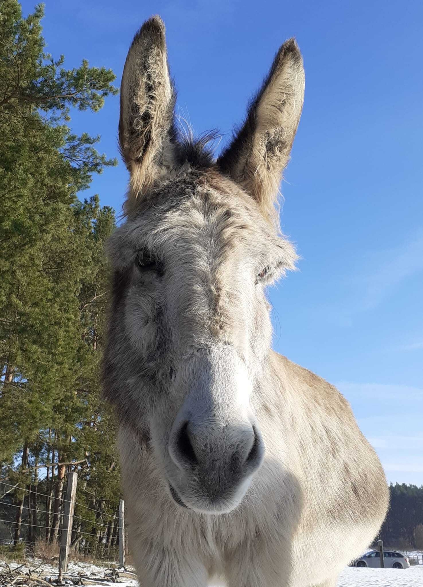 Zur Galerie: Ronja
