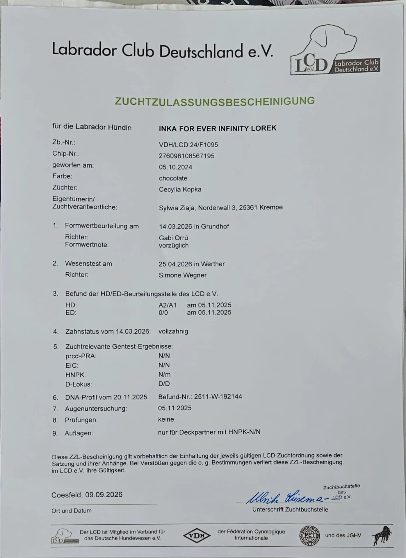 Bild: Zuchtzulassung Daisy