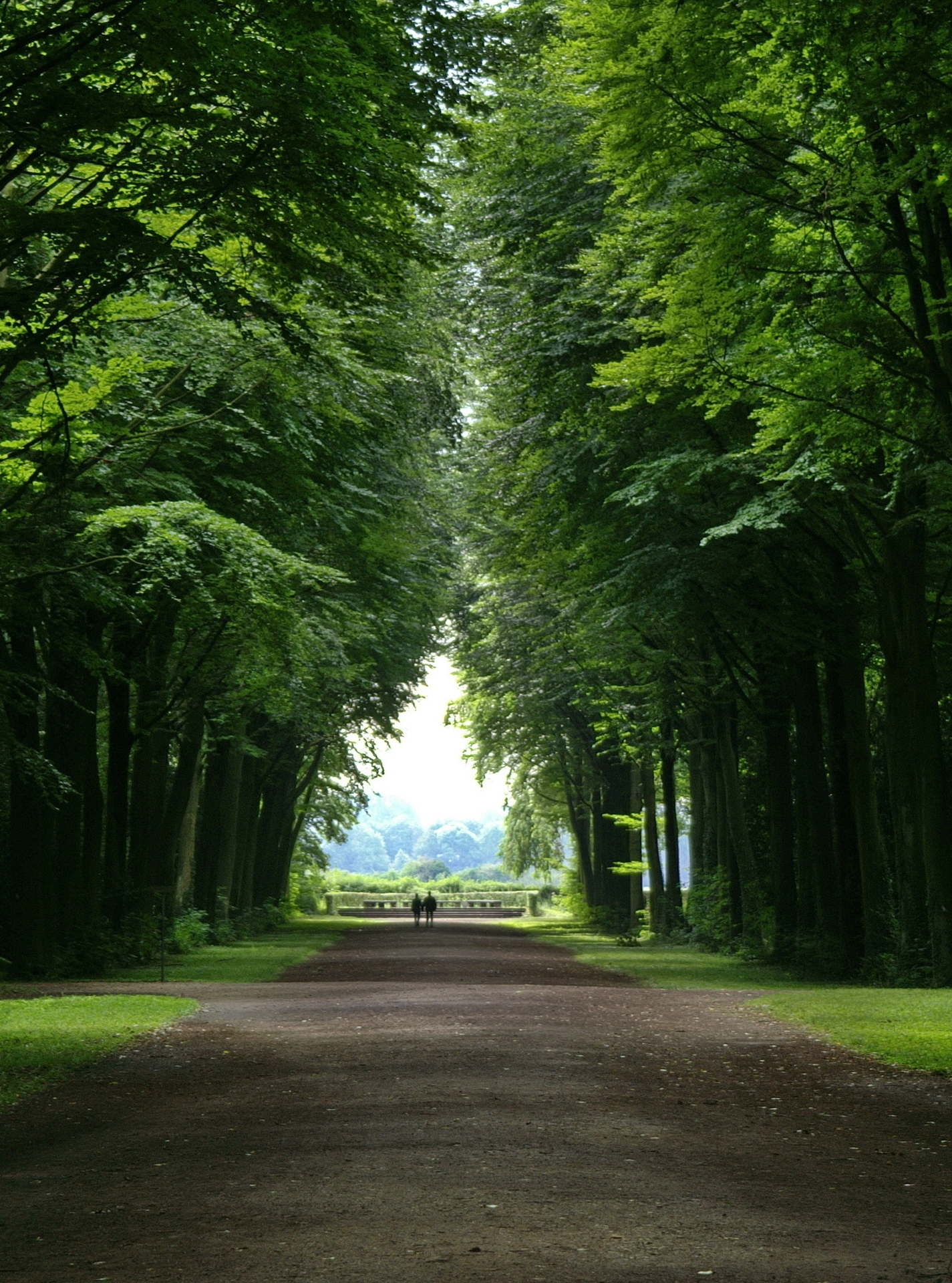 Frank Brautzsch - zum Schlosspark Augustusburg  (Bild vergr&ouml;&szlig;ern)