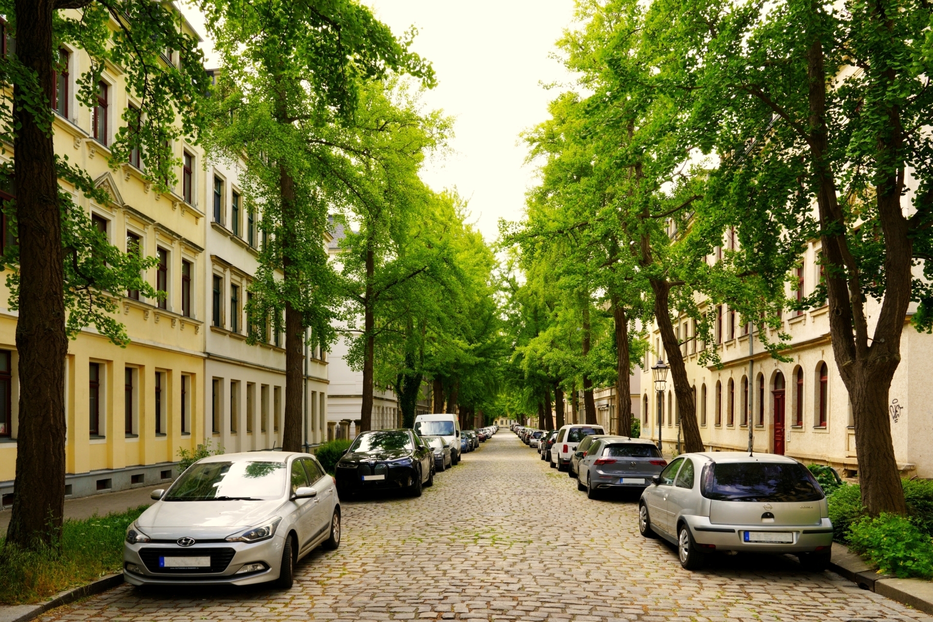 Peter Tittmann - Ginkgo-Allee  (Bild vergr&ouml;&szlig;ern)