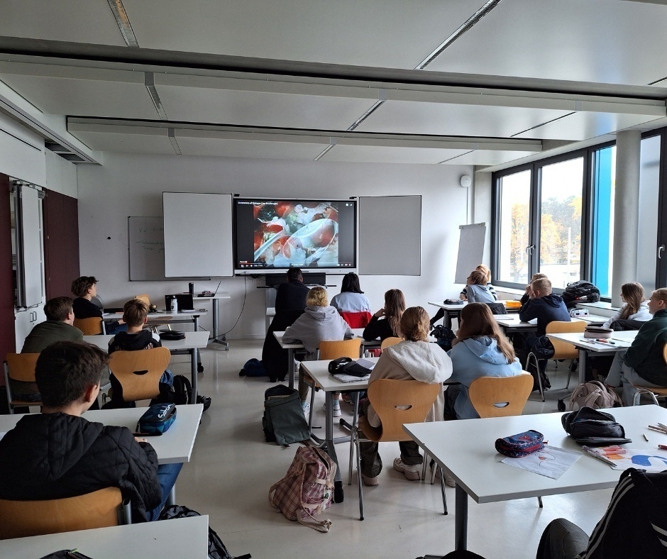 Foto der Galerie: Workshop an Schulen