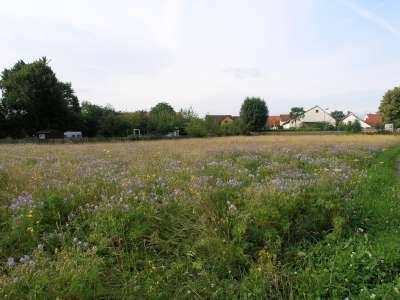 Foto der Galerie: Bilder