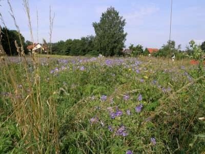 Foto der Galerie: Bilder