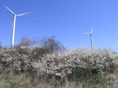 Foto der Galerie: Bilder