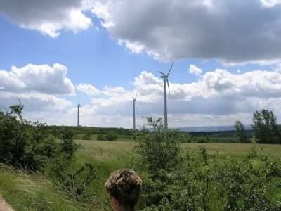 Foto der Galerie: Bilder