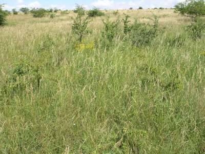 Foto der Galerie: Bilder