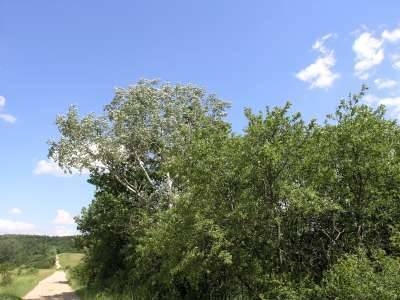 Foto der Galerie: Bilder