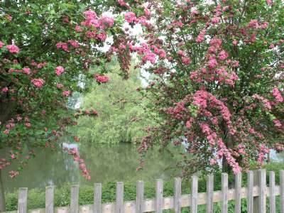 Foto der Galerie: Bilder