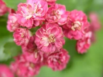 Foto der Galerie: Bilder