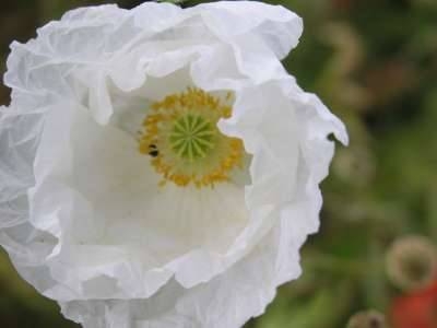 Foto der Galerie: Bilder