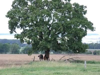 Foto der Galerie: Bilder