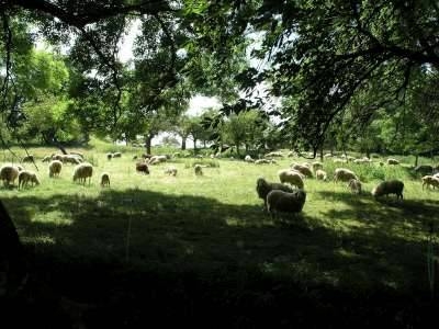 Foto der Galerie: Bilder