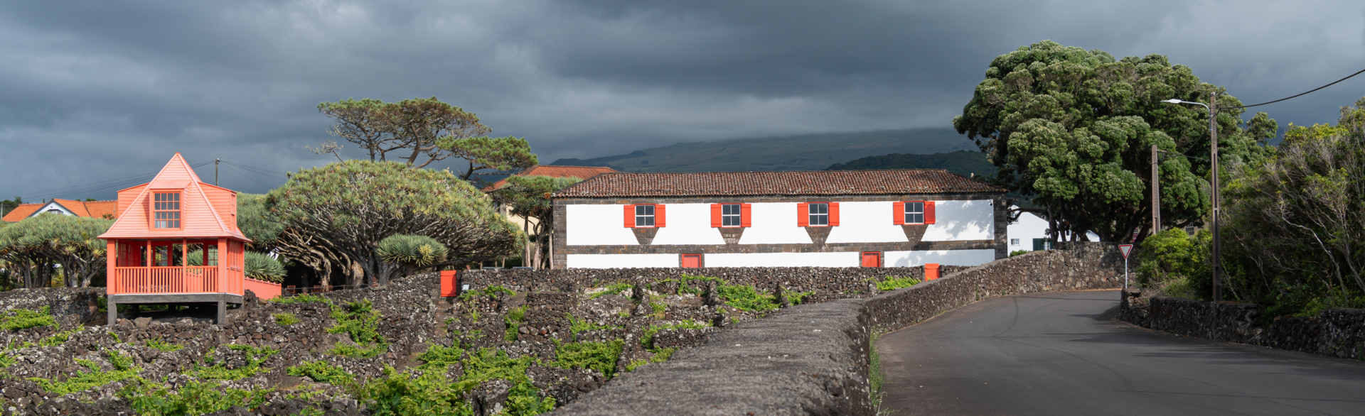 Angela Förster - Weinmuseum auf Pico  (Bild vergr&ouml;&szlig;ern)