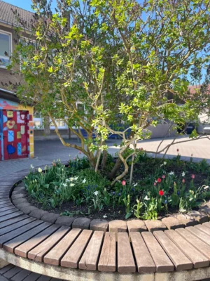 Vorschaubild: Mit Hortkindern gepflanzte Frühblüher