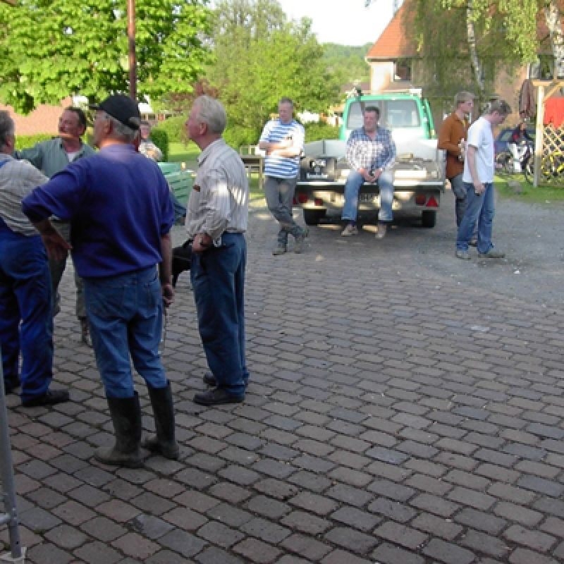 Bild der Galerie
