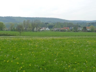 Vorschaubild der Galerie