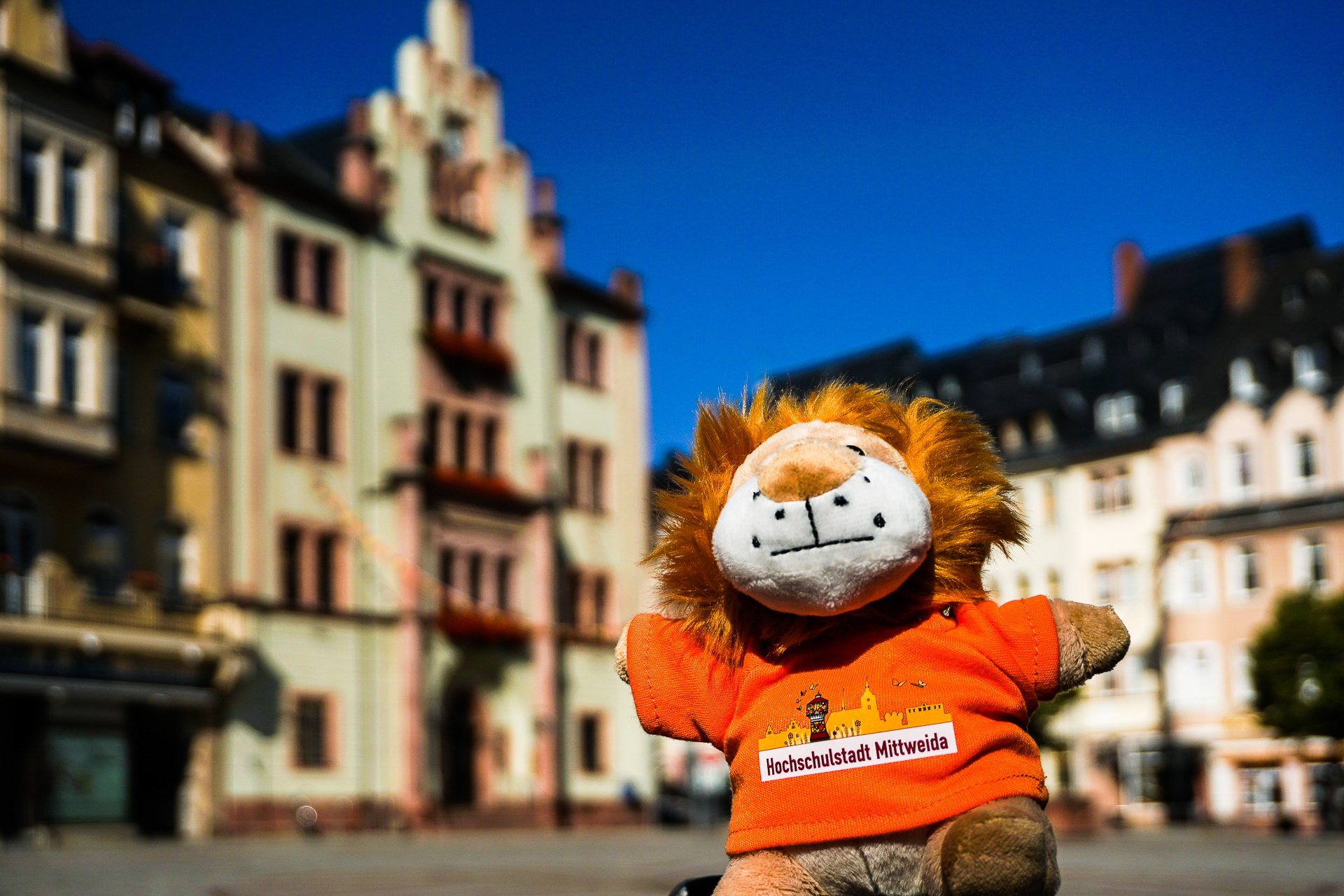 Luzia Titteln- MITTI am Marktplatz  (Bild vergr&ouml;&szlig;ern)