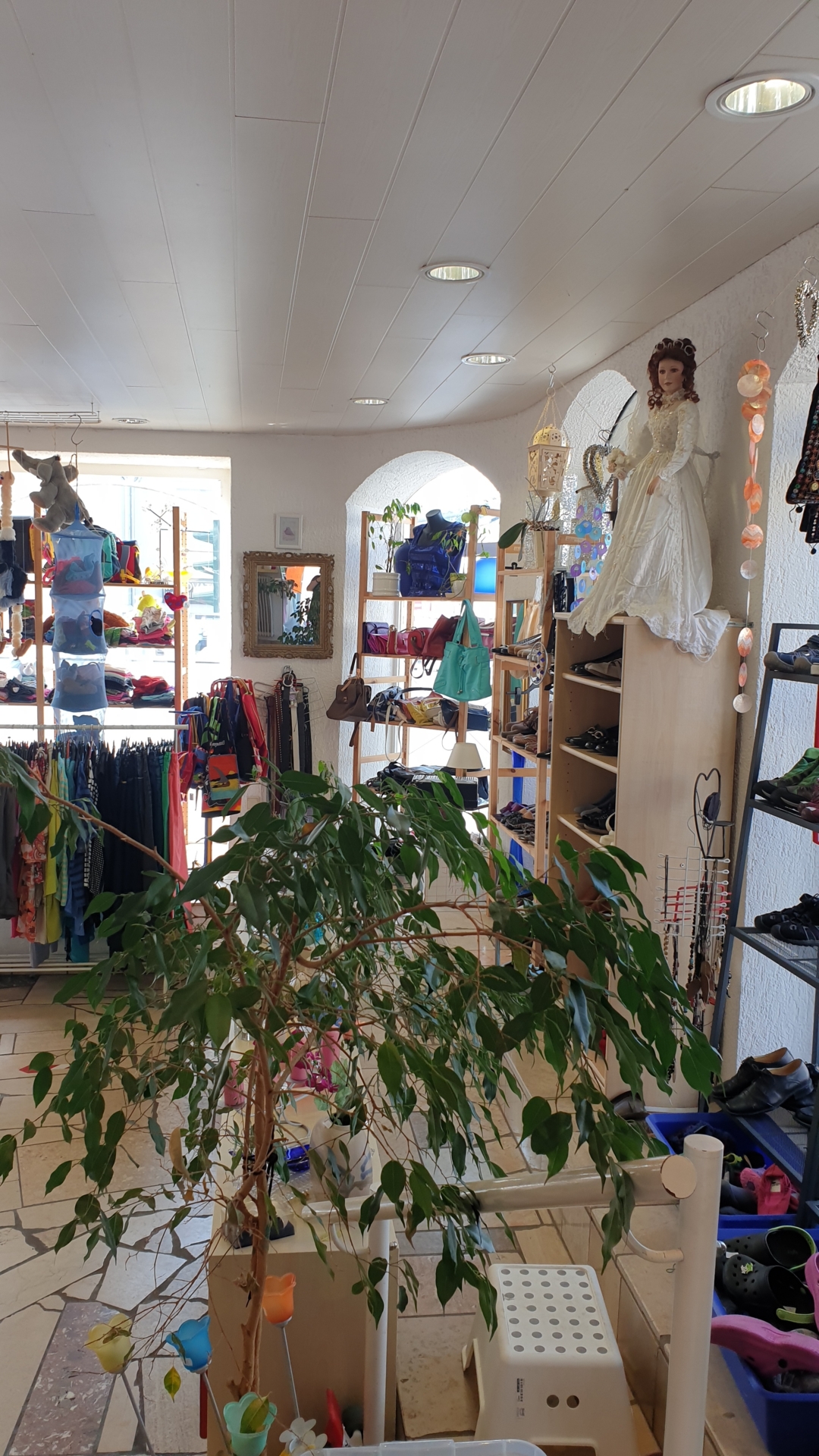 Bild  der Galerie