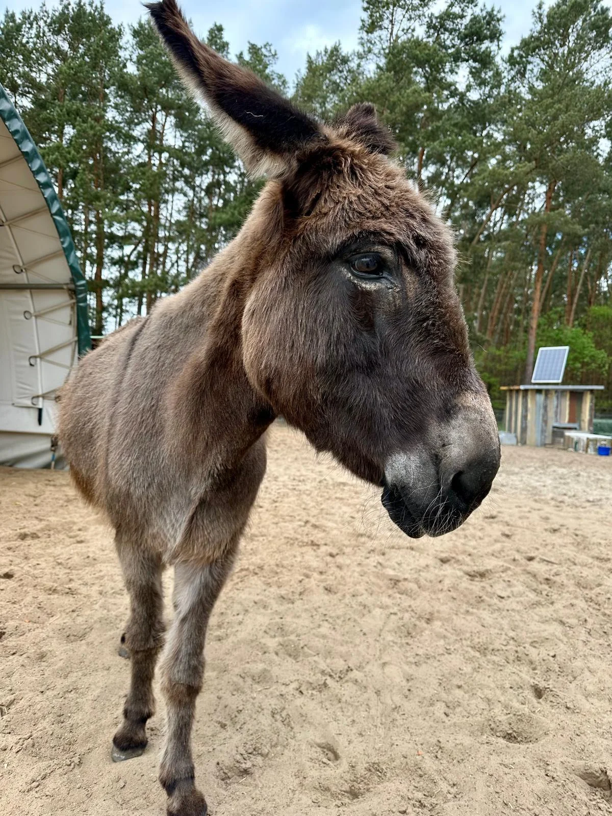 Zur Galerie: Molly