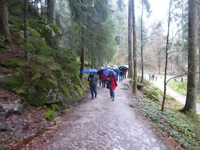 Foto der Galerie: 03 Ausflug Triberg 2016