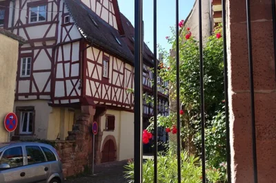 Vorschaubild der Galerie