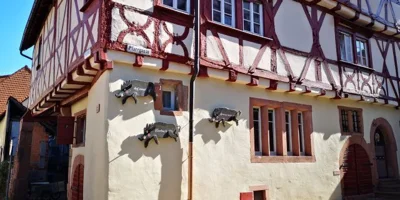 Vorschaubild der Galerie