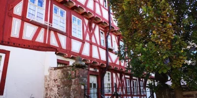 Vorschaubild der Galerie