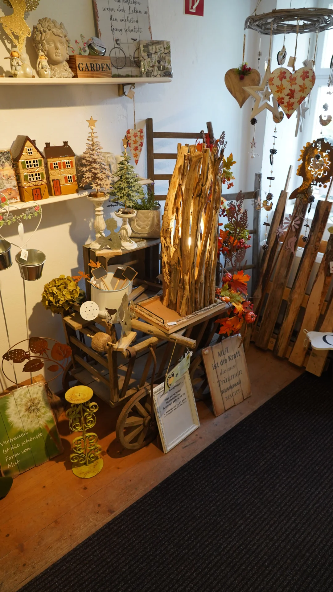 Bild  der Galerie