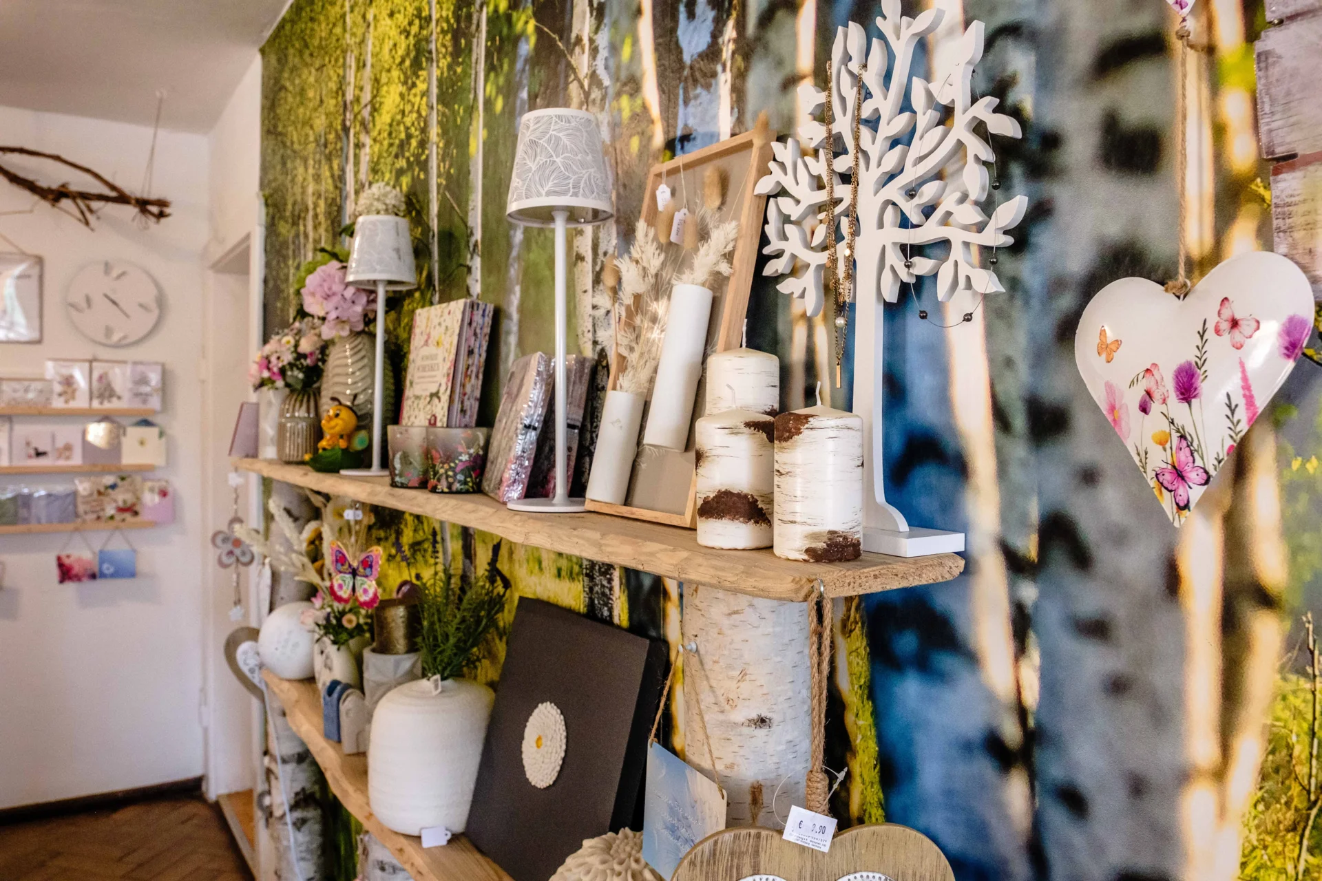 Bild  der Galerie
