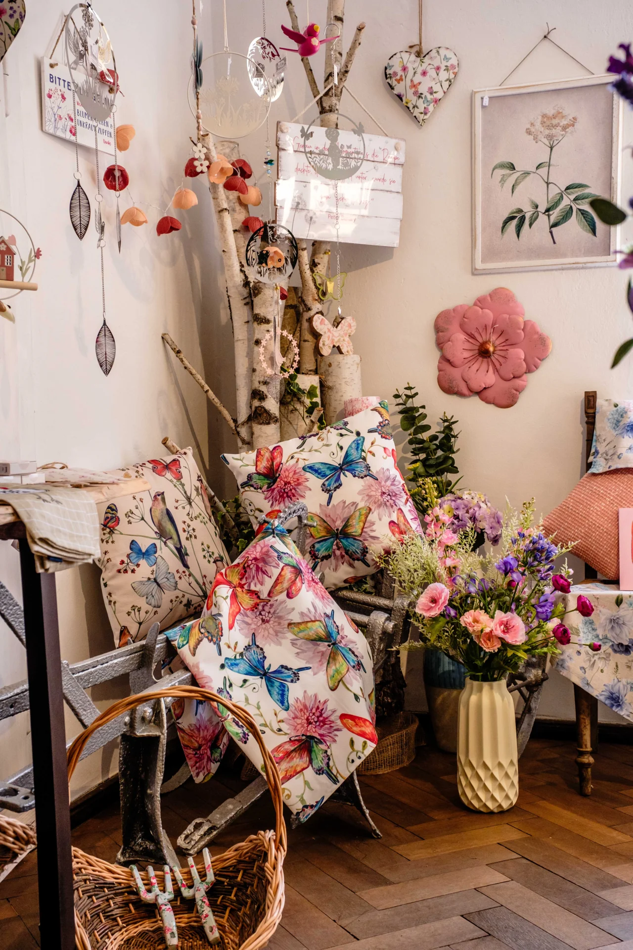 Bild  der Galerie
