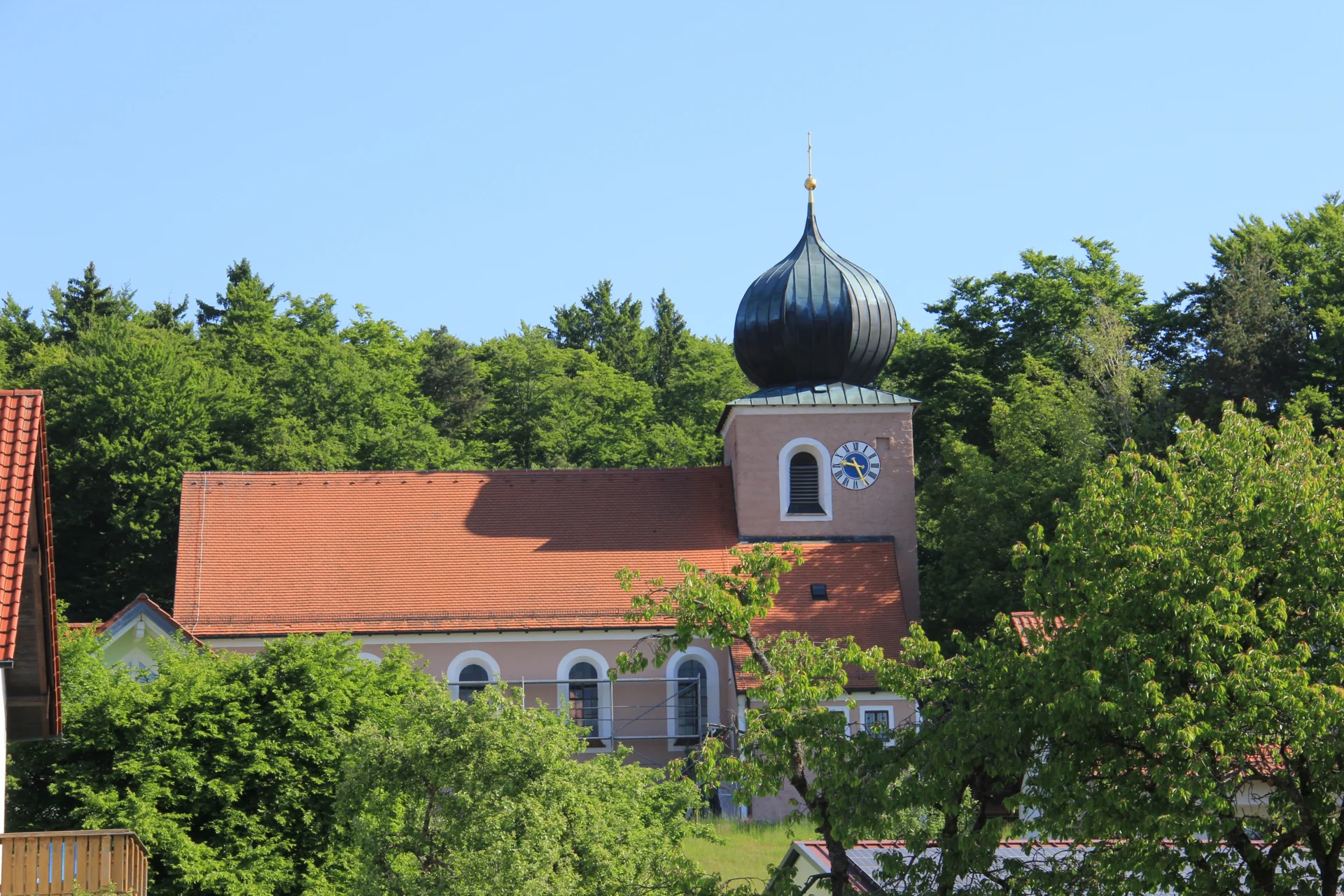 Bild der Galerie