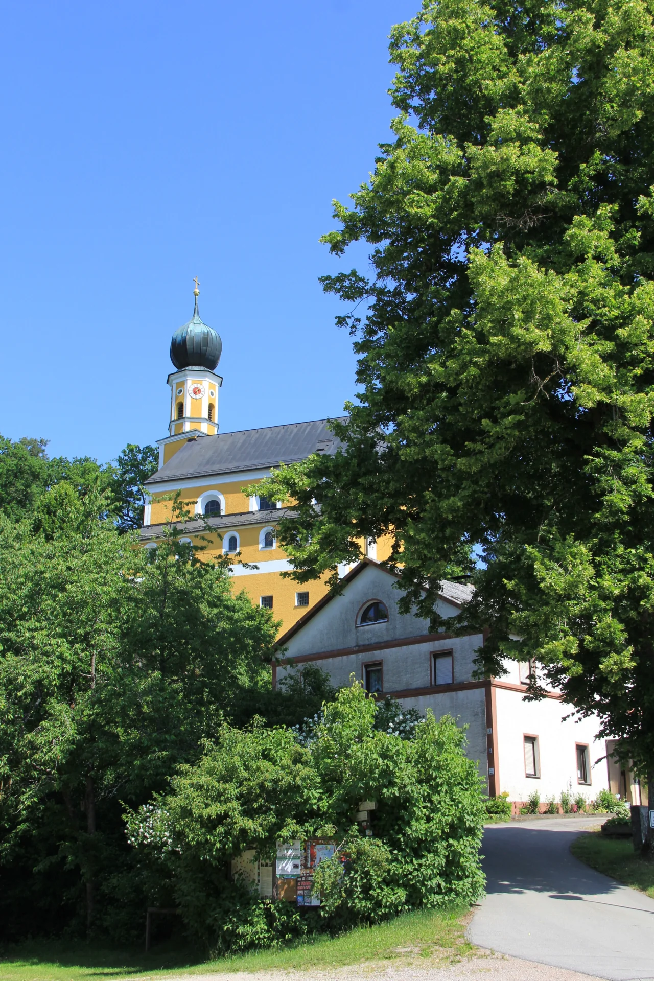 Bild der Galerie