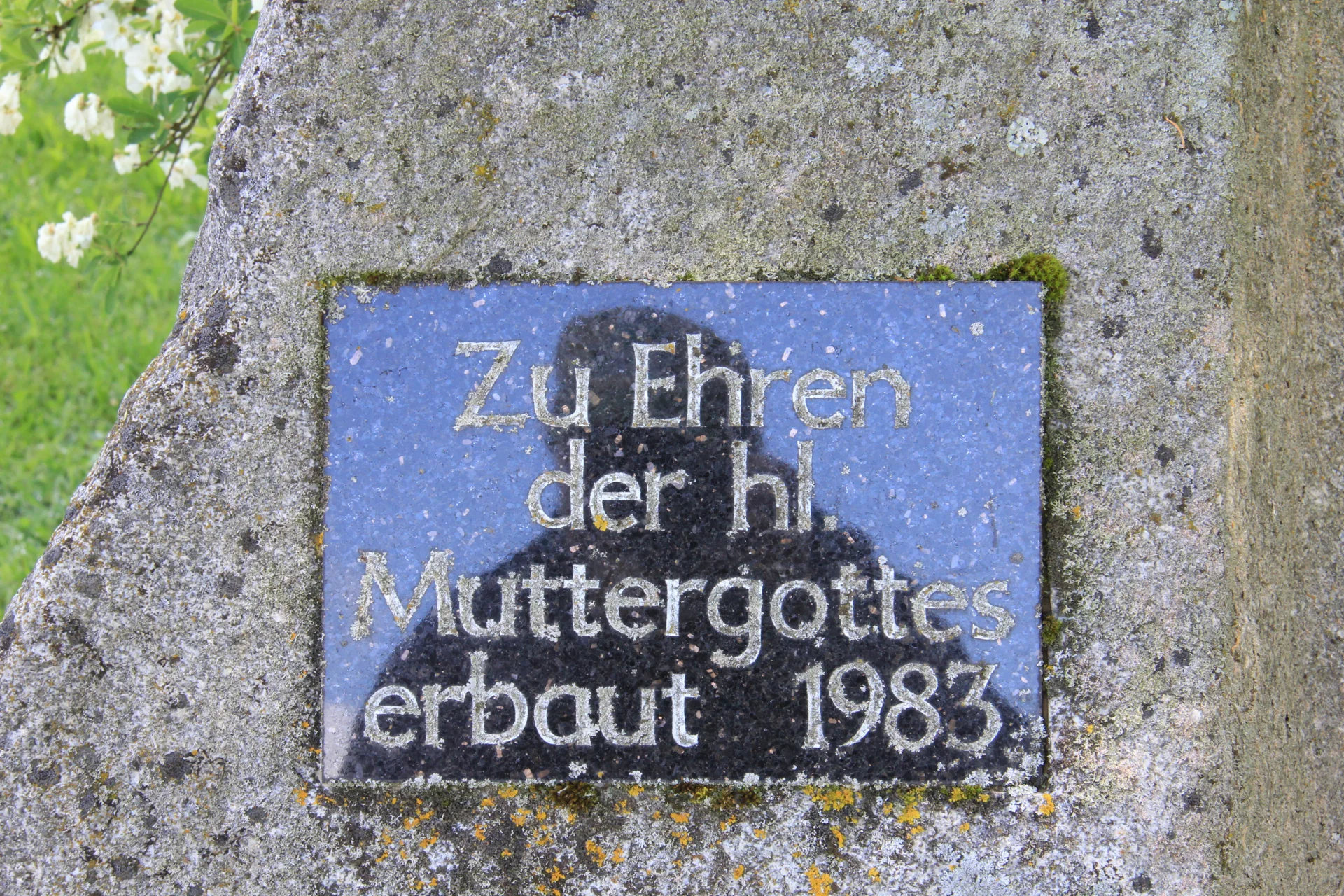 Bild der Galerie