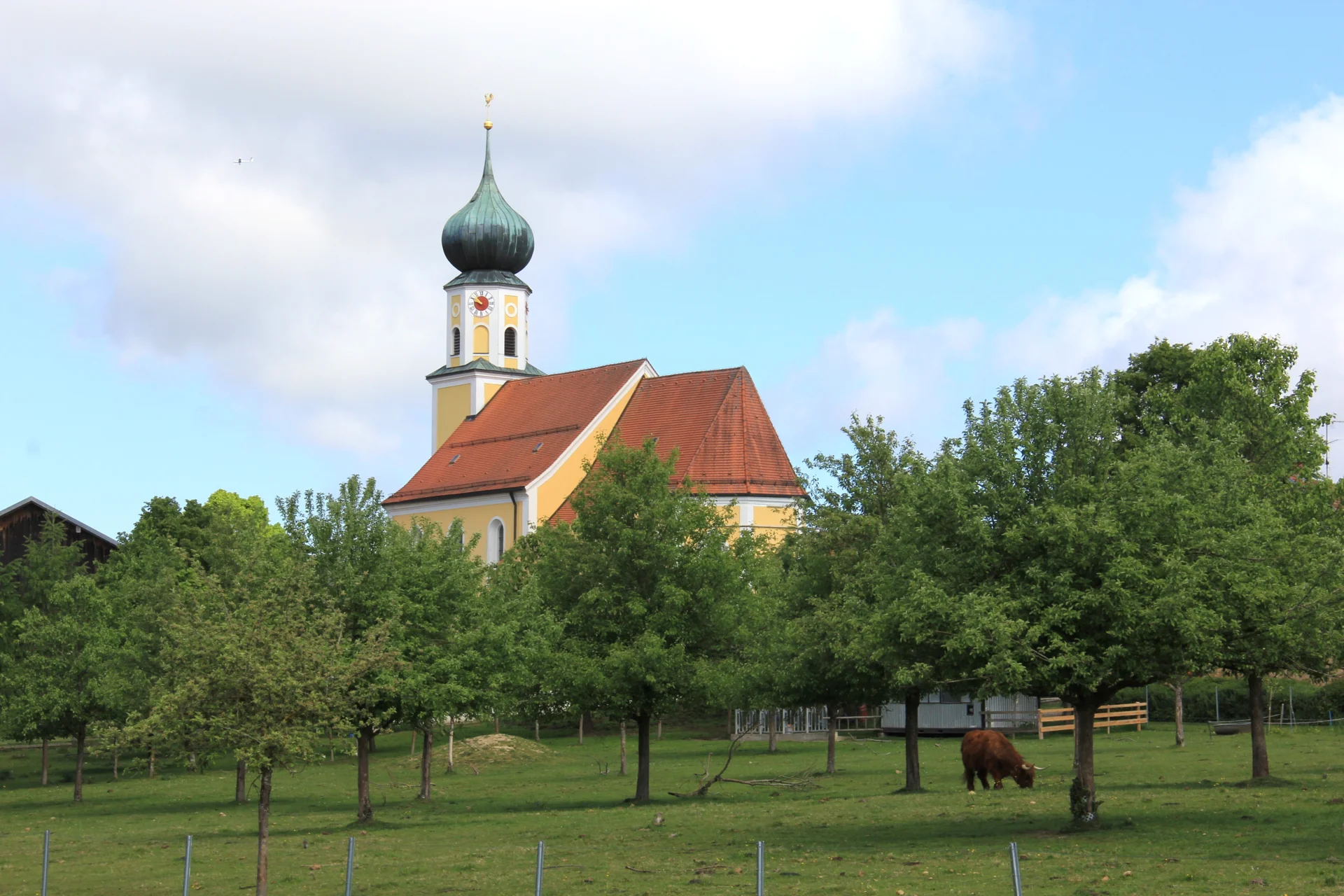 Bild der Galerie