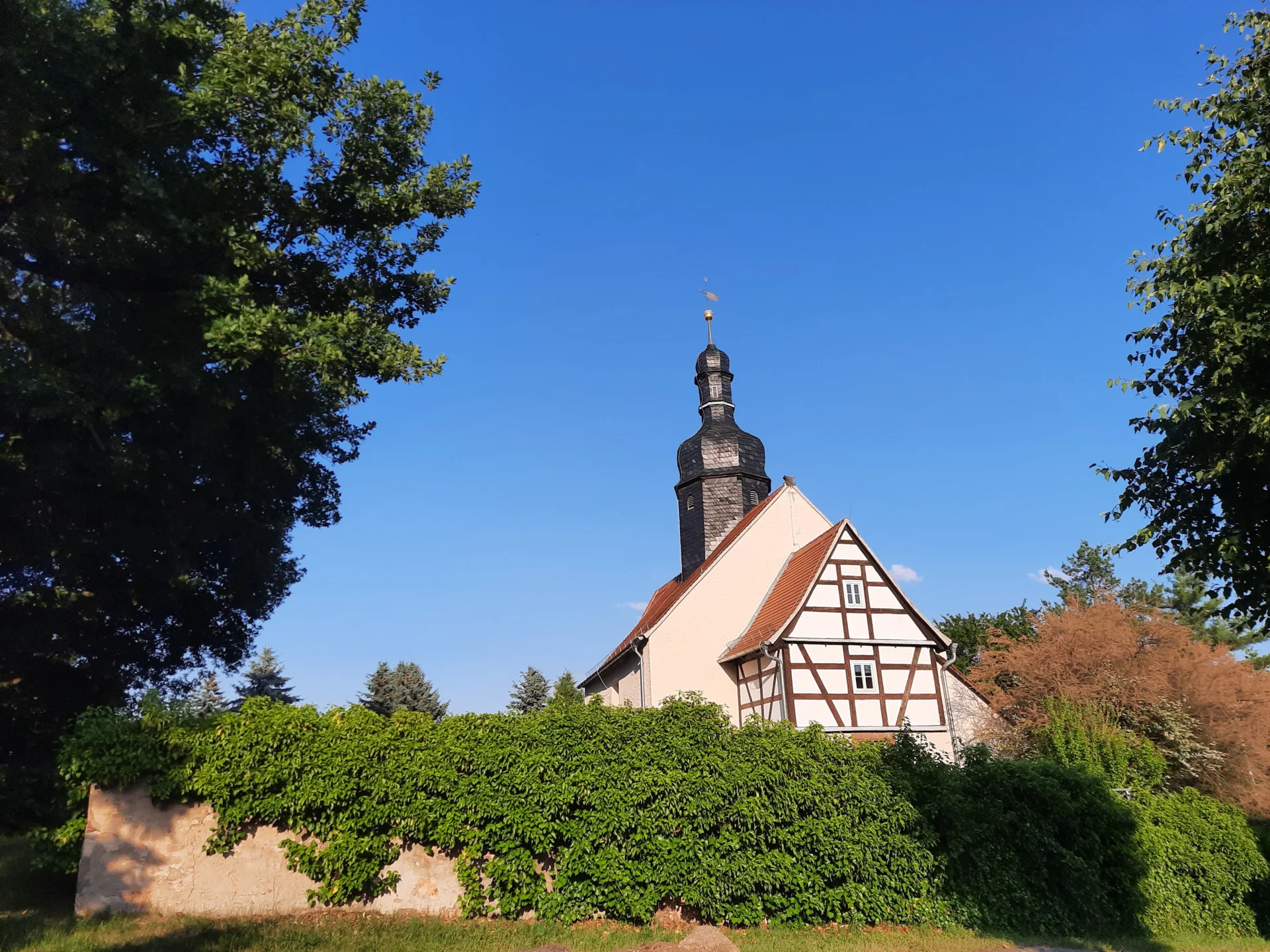 Bild der Galerie