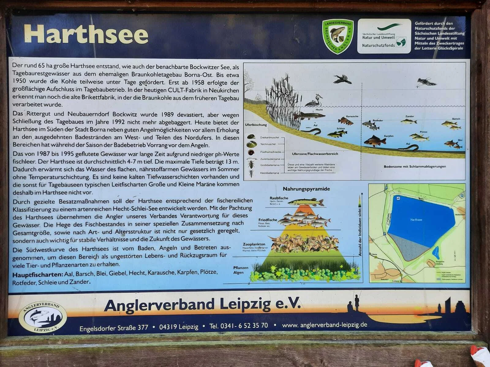 Bild: 2025 Harthsee (2)