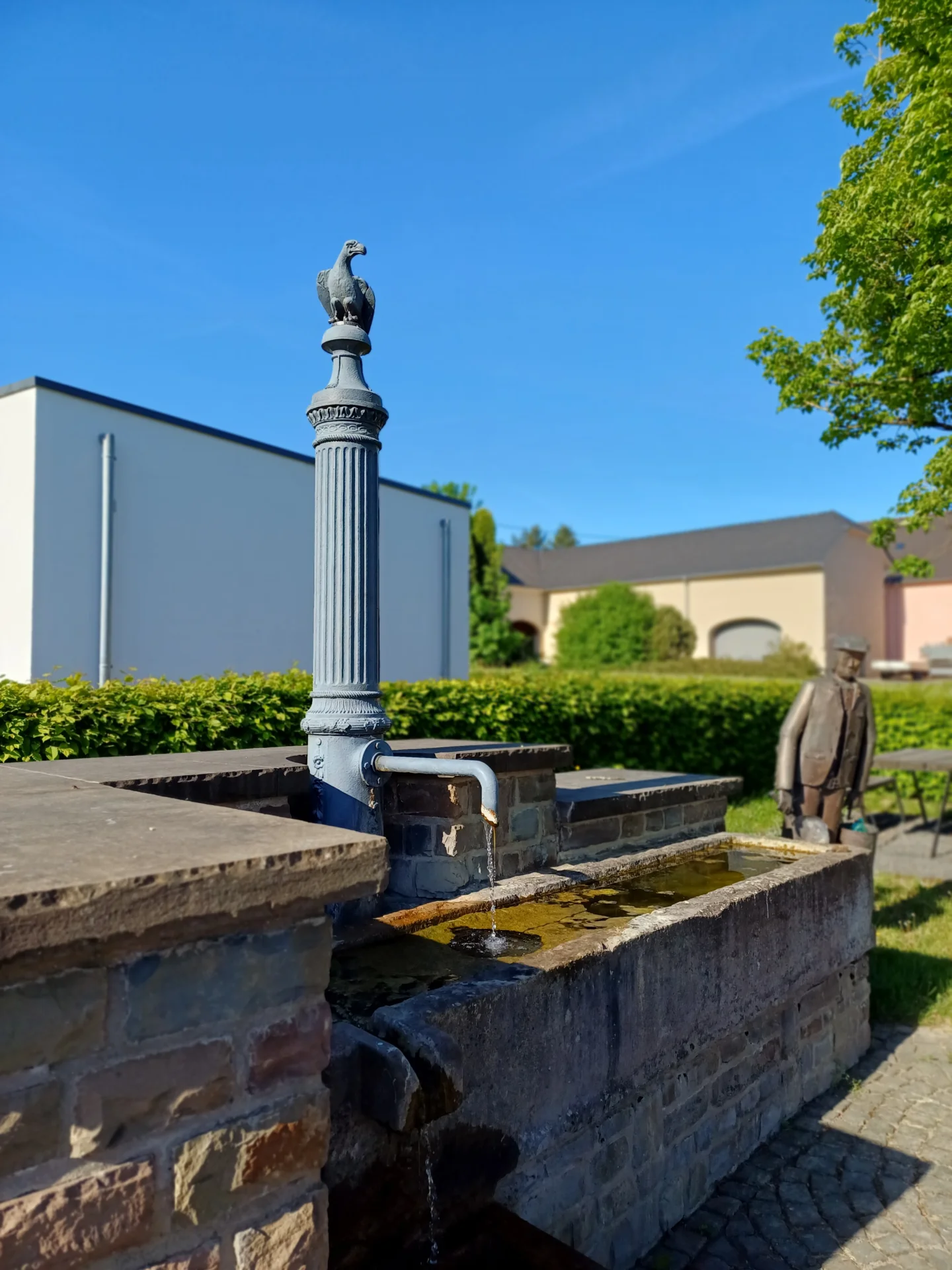20250513 090022  (Bild vergr&ouml;&szlig;ern)