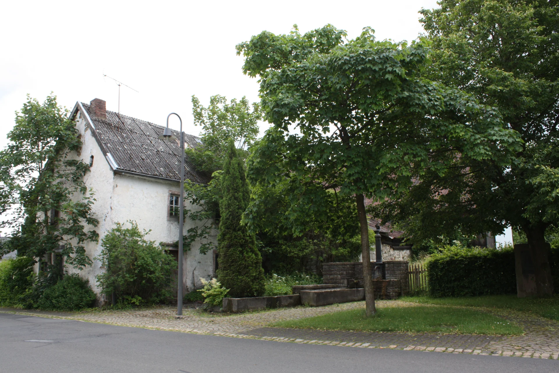 IMG 2034  (Bild vergr&ouml;&szlig;ern)