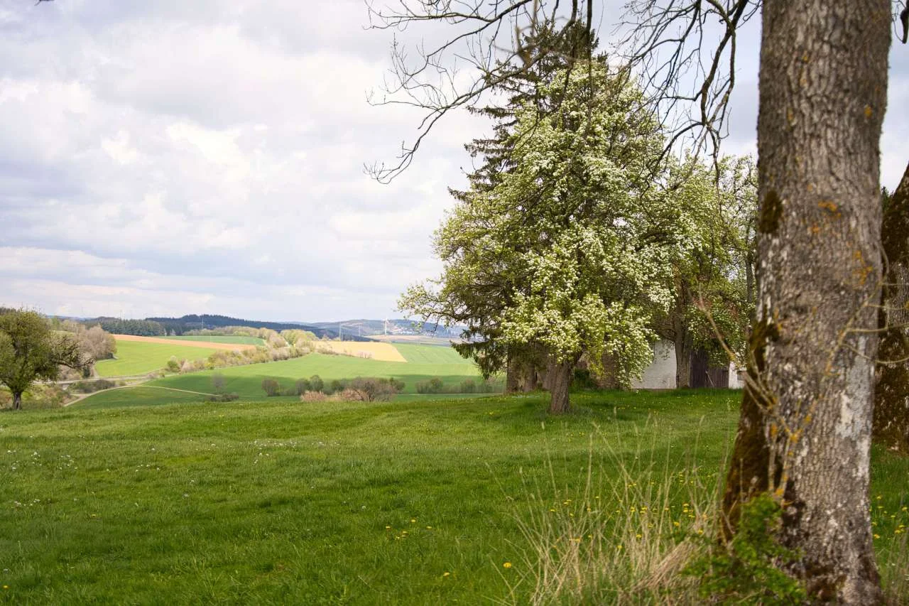 7M308434r  (Bild vergr&ouml;&szlig;ern)