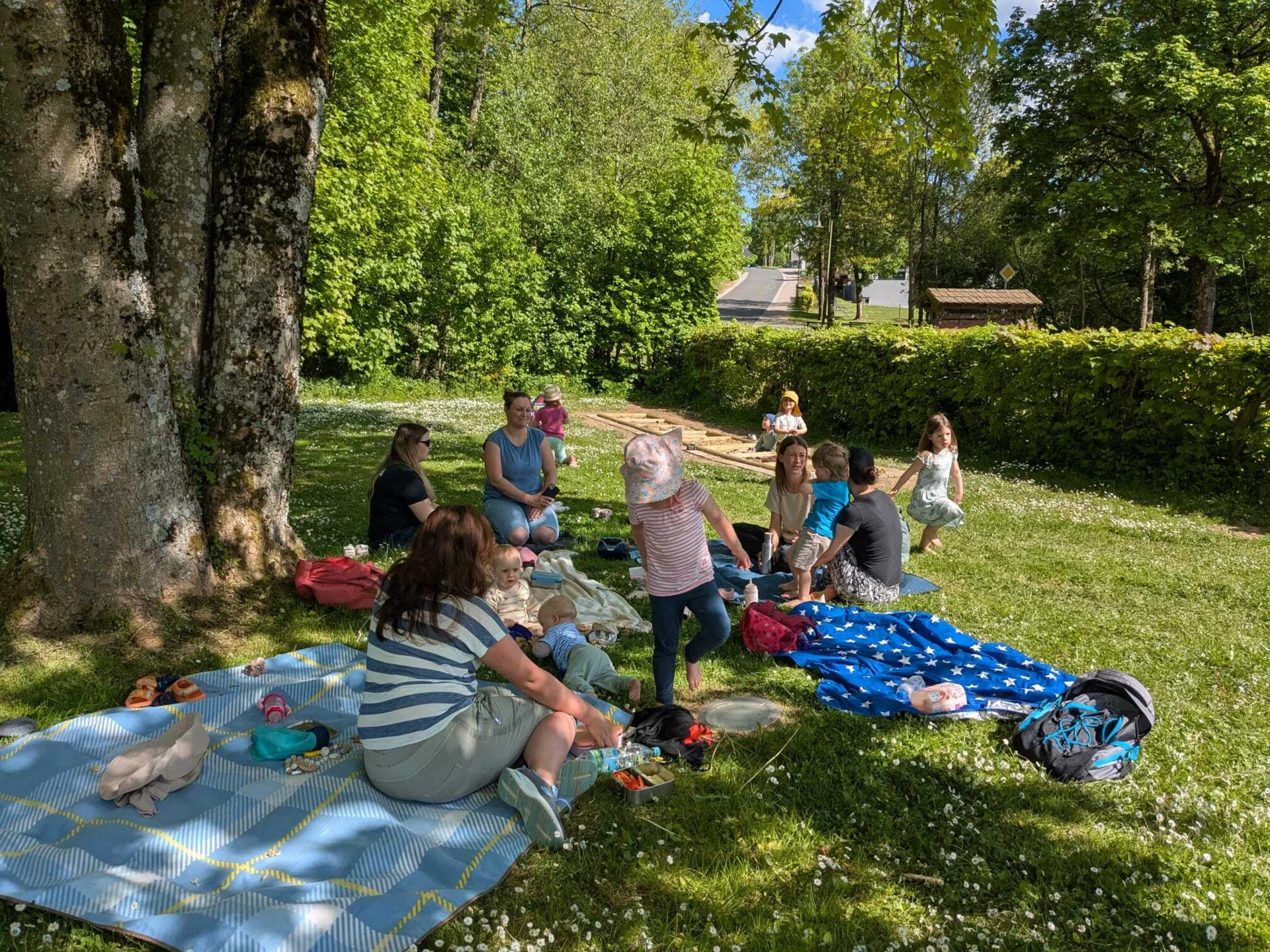 Bild1  (Bild vergr&ouml;&szlig;ern)
